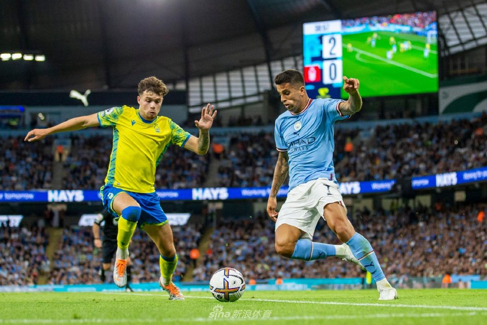 却迟迟找不 却迟迟找不