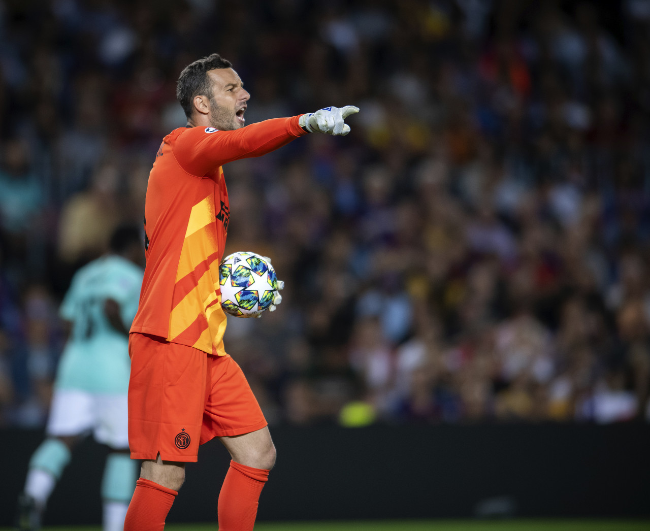 生涯扎根于 生涯扎根于